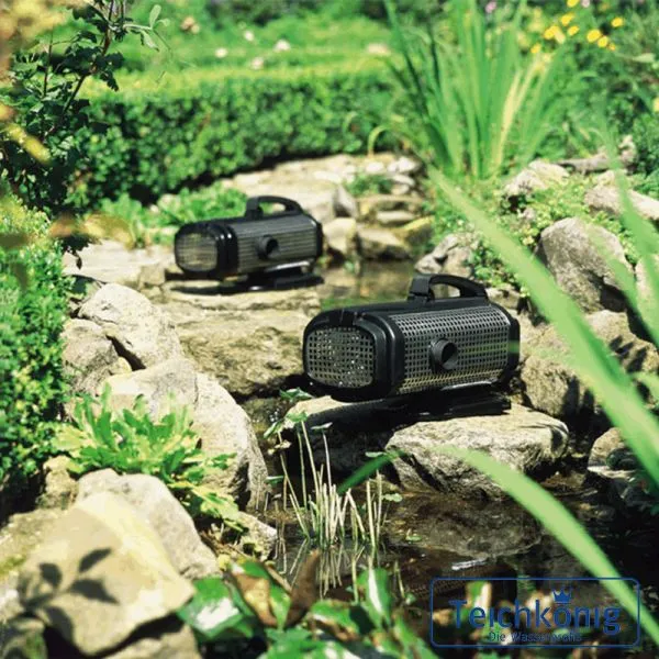 AquaMax Eco Expert 44000 Filterpumpe